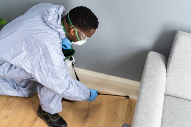 Best Real Estate Pest Inspections  in Kaufman, TX